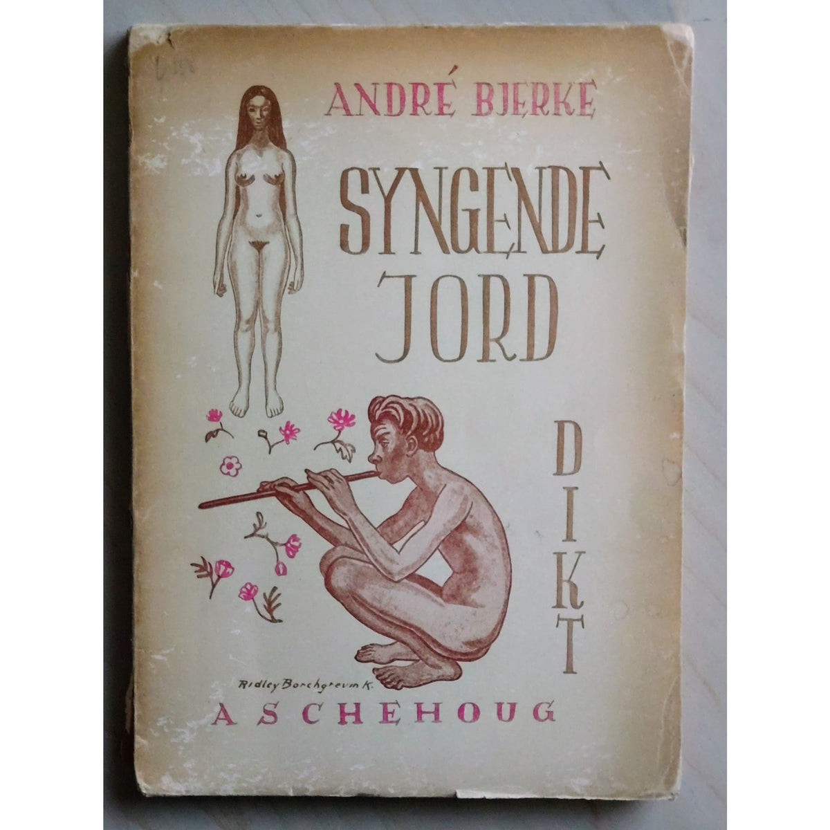 Syngende jord. Dikt, brukte bøker av Andrë Bjerke