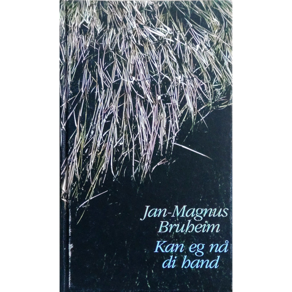 Jan-Magnus Bruheim: Kan eg nå di hand. Brukt bok